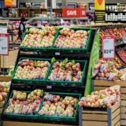 Steda Tropical Foods Ltd