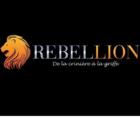 Salon Rebel Lion