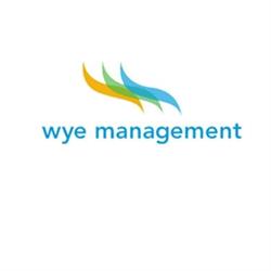 Wye Management Group