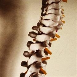 Haldimand Massage & Osteopathic Centre