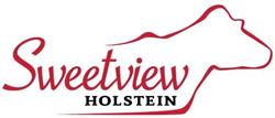 Sweetview Holstein