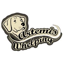 Artemis Whelping Company Ltd.