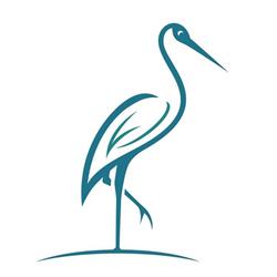 Marshville Massage Therapy