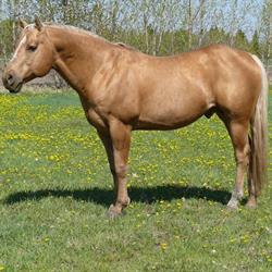 Moss Spur Ranch