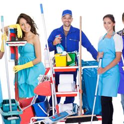 Y Cleaning Services Inc.