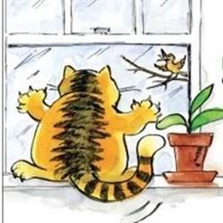 Kat's Kitty Cottages