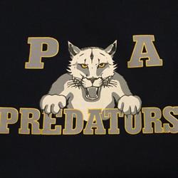 Princess Alexandra Middle School