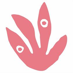 The Pink Label