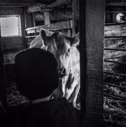 Fondoak Farm