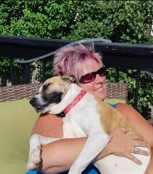 Loves Dogs - Grooming