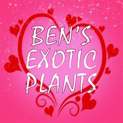 Bens Exotic Plants