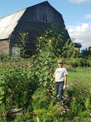 Sweet William Farms