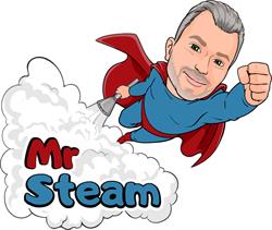 Mr. Steam- Couch & Carpet Cleaning