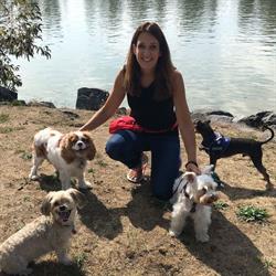 Happy Stays Small-Dog Boarding