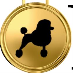 Champion Pet Grooming