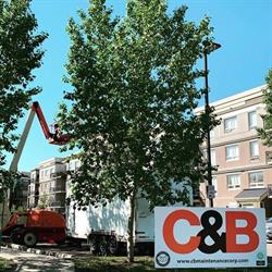 C & B Maintenance