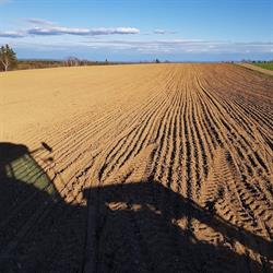 Rideout'S Farm Inc.