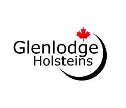 Glenlodge Holsteins and Mintoglen Farms
