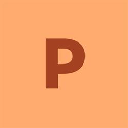 Personnel Placement Solutions