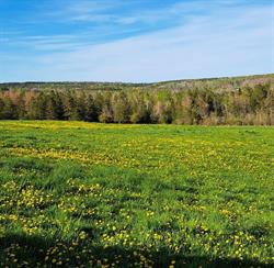 Jordan's Natural Acres Farm