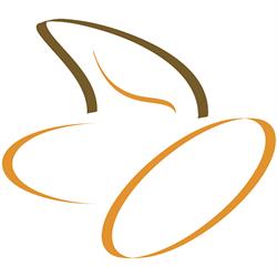 Amicale Des Personnes Handicapées Physiques De LL'Outaouais