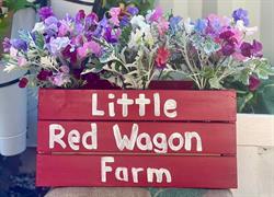 Little Red Wagon Farm