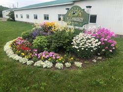 Ferme Y. Landry 3000 inc.