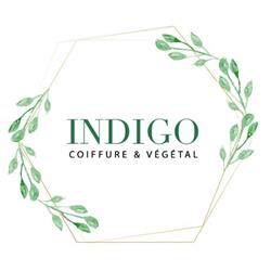 Indigo coiffure et végétal