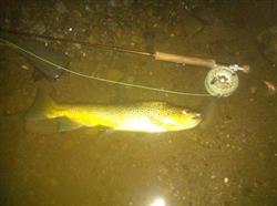 Marshland Outfitters