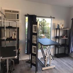 BemBies Pet Stars Grooming