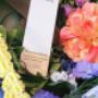 Protection solaire France Laure Protection solaire France Laure