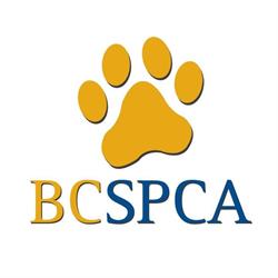 BC SPCA