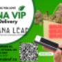 Kana Leaf Cannabis VIP members save more. Kana Leaf Cannabis VIP members save more.