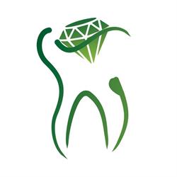 Peridot Dental Care