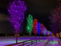 Holiday Decor Lights Holiday Decor Lights