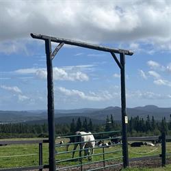 Tower Equestrian Association Inc.