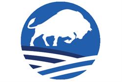 Bison Immigration Consulting