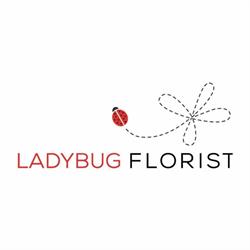 Ladybug Florist