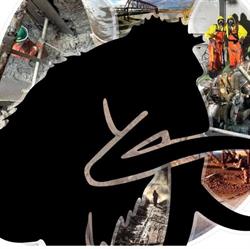 Mammouth Services Environnementaux - Pompage et nettoyage industriel