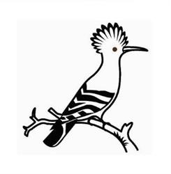 Wiedehopf.ca