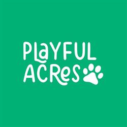 Playful Acres Edmonton Dog Daycare
