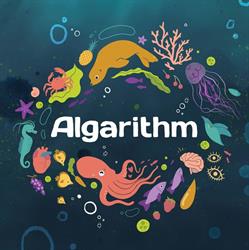 Algarithm Ingredients