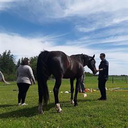 Hoofprints Ranch