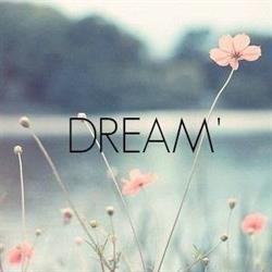 Dreamhill Marketing Inc.
