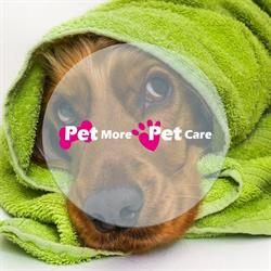 Pet More Pet Care