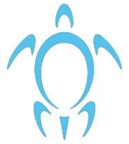 Turtle Island Aqua Inc