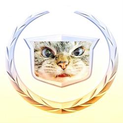 Catillac Co. Building Cat Trees For Canadians