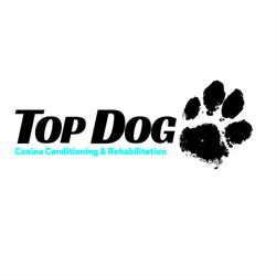 Top Dog