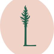 Lodgepole Market