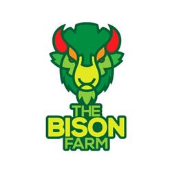 The BisON
